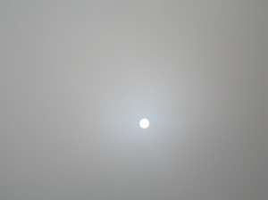 Sun-Moon